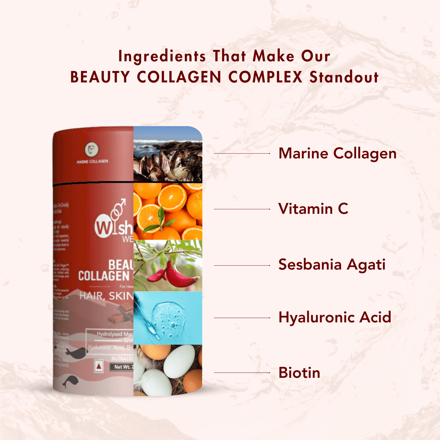 Wishnew Wellness Beauty Collagen Complex Sachet - Chocolate - (10gm Each)
