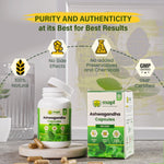 MAPL Ashwagandha Capsules | Ayurvedic Stress Relief, Energy & Vitality Support | Enhances Immunity, Cognitive Function & Stamina | 60 Capsules