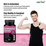 Adorreal Echinacea Purpurea Capsule | 60 Capsules
