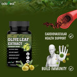 Adorreal Olive Leaf Extract Capsule | 60 Capsules