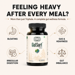 Herbs O’ Shrubs GutSort | Ayurvedic Gut Health Tablets | Digestive Enzymes With Triphala, Spirulina, CoQ10, Jaiphal | Supports Good Digestion System , Immunity & Energy | Gut Cleanse Detox Supplement, 30 Tablets