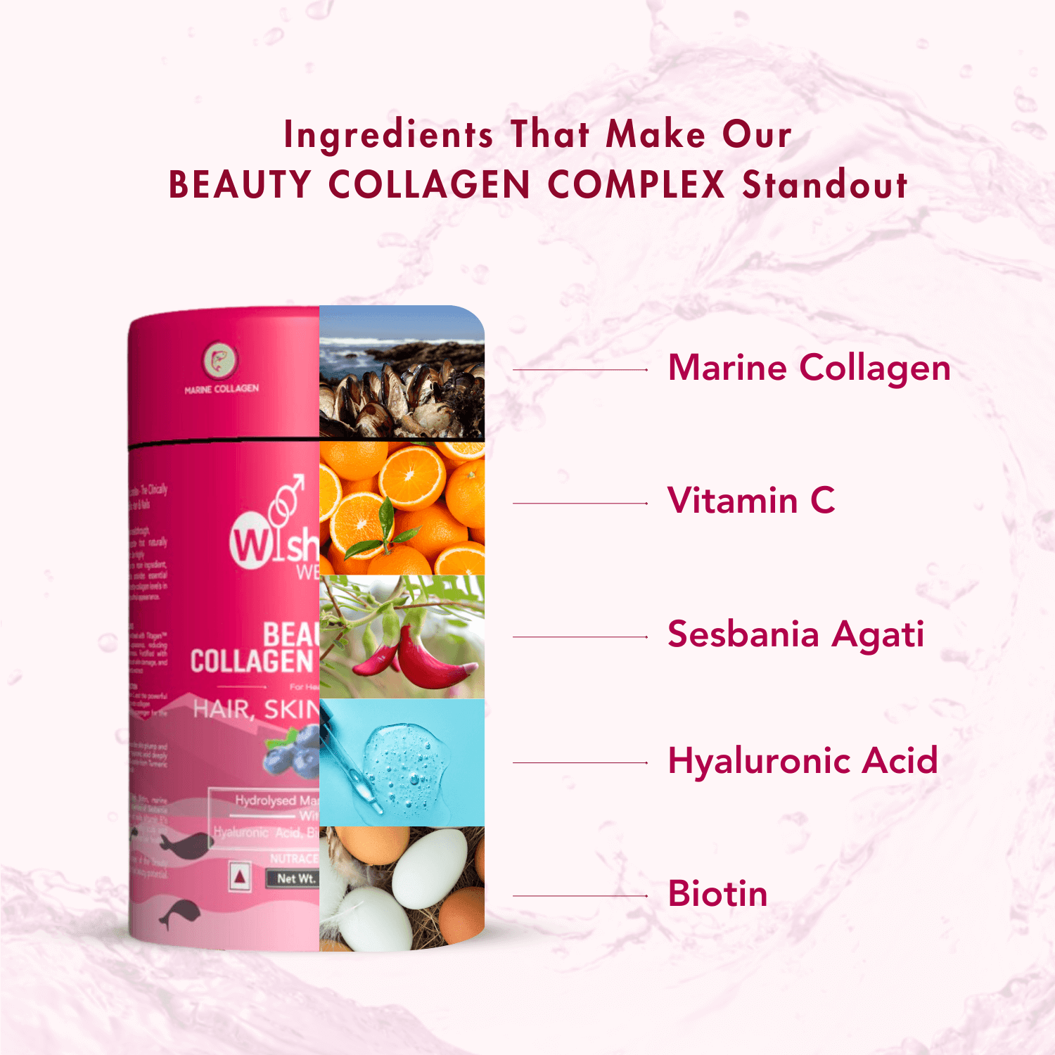 Wishnew Wellness Beauty Collagen Complex Sachet - Blueberry - (10gm Each)