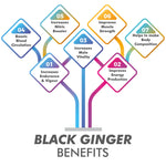 Vitaminnica Black Ginger Capsules - Energy, Stamina & Recovery Support, 60 Count