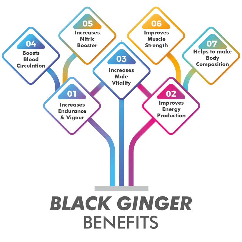 Vitaminnica Black Ginger Capsules - Energy, Stamina & Recovery Support, 60 Count