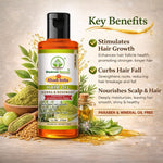 Bhudevam Naturals Khadi Henna Rosemary Hair Oil for Hair Growth & Hair Fall Control- 210ML