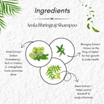 Bhudevam Naturals Khadi Amla Bhringraj Herbal Shampoo for Hair Fall Control & Strong Hair- 210ML