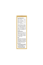 Shane Onion Oil - 100ml