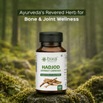 Bixa Botanical Cissus / Hadjod Extract (60 Veg Capsules | 450mg) | Standardized to 2.5% 3-Keto Steroids for Bone Healing, Joint Health & Collagen Support