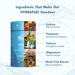 WishNew Wellness Hydrafuel Instant Energy Drink Mix Sachet Blueberry (10gm Each)