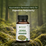 Bixa Botanical Indian Senna Extract (60 Veg Capsules | 450mg) | Standardized to 20% Sennosides for Gentle Laxative Support & Colon Cleanse