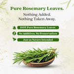 Bixa Botanical Rosemary Dry Leaves | Top-Grade Sourced From Egypt | Culinary Seasoning & Natural Hair Growth Rinse - 120gm