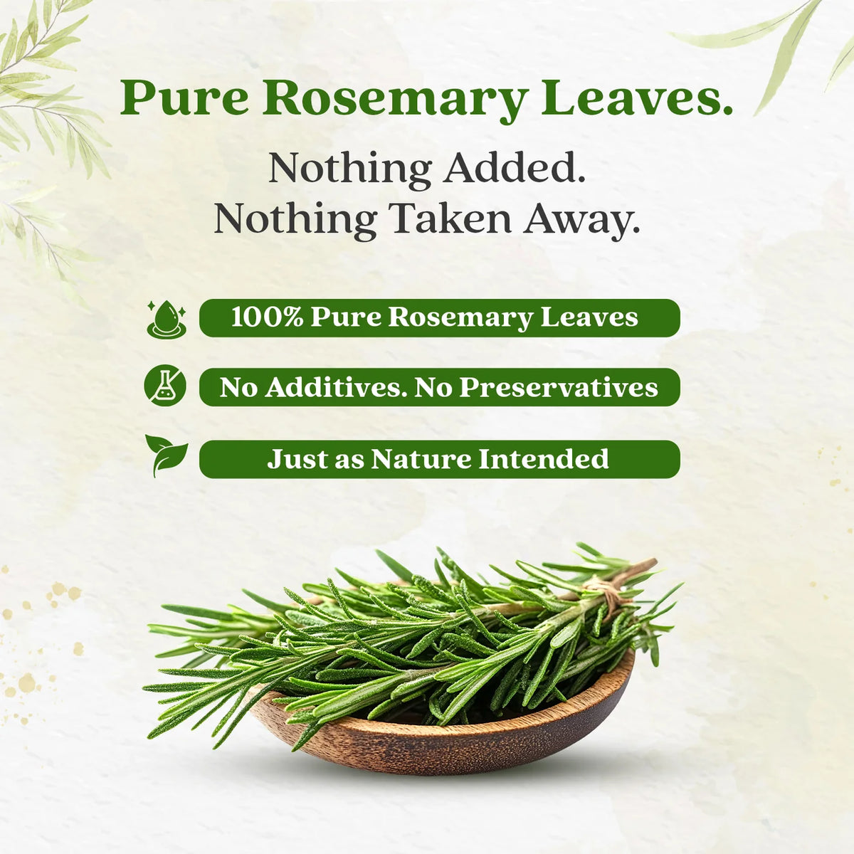Bixa Botanical Rosemary Dry Leaves | Top-Grade Sourced From Egypt | Culinary Seasoning & Natural Hair Growth Rinse - 120gm