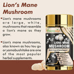 Vitaminnica Lion's Mane Mushroom Capsules - Brain Focus & Memory Support, 60 Count