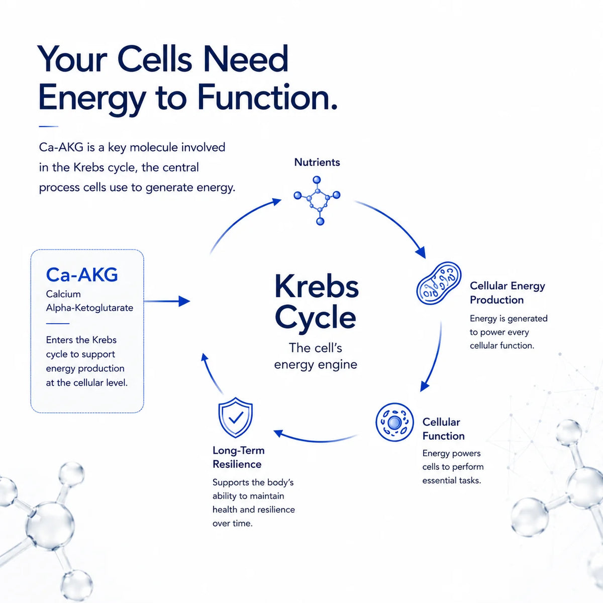 De-Age CA-AKG 500mg, 30 Capsules | Cellular Energy & Healthy Aging Support