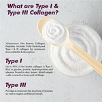 Vitaminnica Vita Beauty Collagen Powder - Mango Type I & III Peptides, 30 Servings