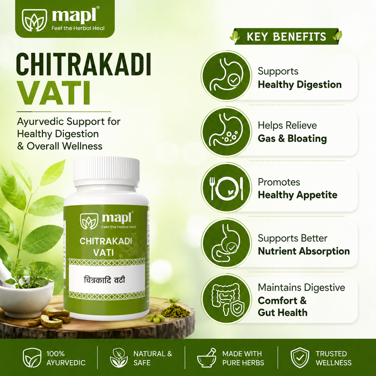 MAPL Herbal Chitrakadi Vati 50g 100 Tablets