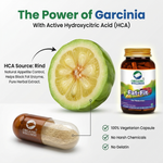Organic Wellness Fat-Fit Capsules - 90 Capsules