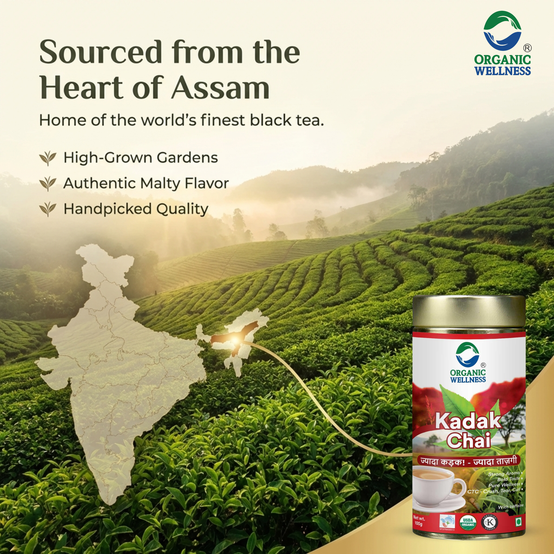 Organic Wellness Kadak Chai - CTC | Extra Strong Assam Tea | Black Tea | Kadak Chai Patti | Loose Tea - 100 gm Tin Pack