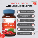 Zeroharm Holistic 98% Pure Berberine Tablets - 800mg Berberine Extract Per Day - Supports Healthy Blood Sugar, Cholestrol Levels for Men & Women - Nano Formulated 60 Tablets