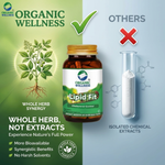 Organic Wellness Lipid-Fit Capsules - 90 Capsules