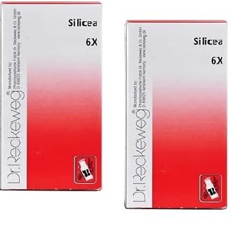 Dr. Reckeweg Silicea Biochemic Tablet 6X - Pack of 2
