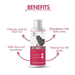 Zenius Shampoo - Herbal Shampoo for Clean, Strong, and Healthy Hair - 200ml Liquid