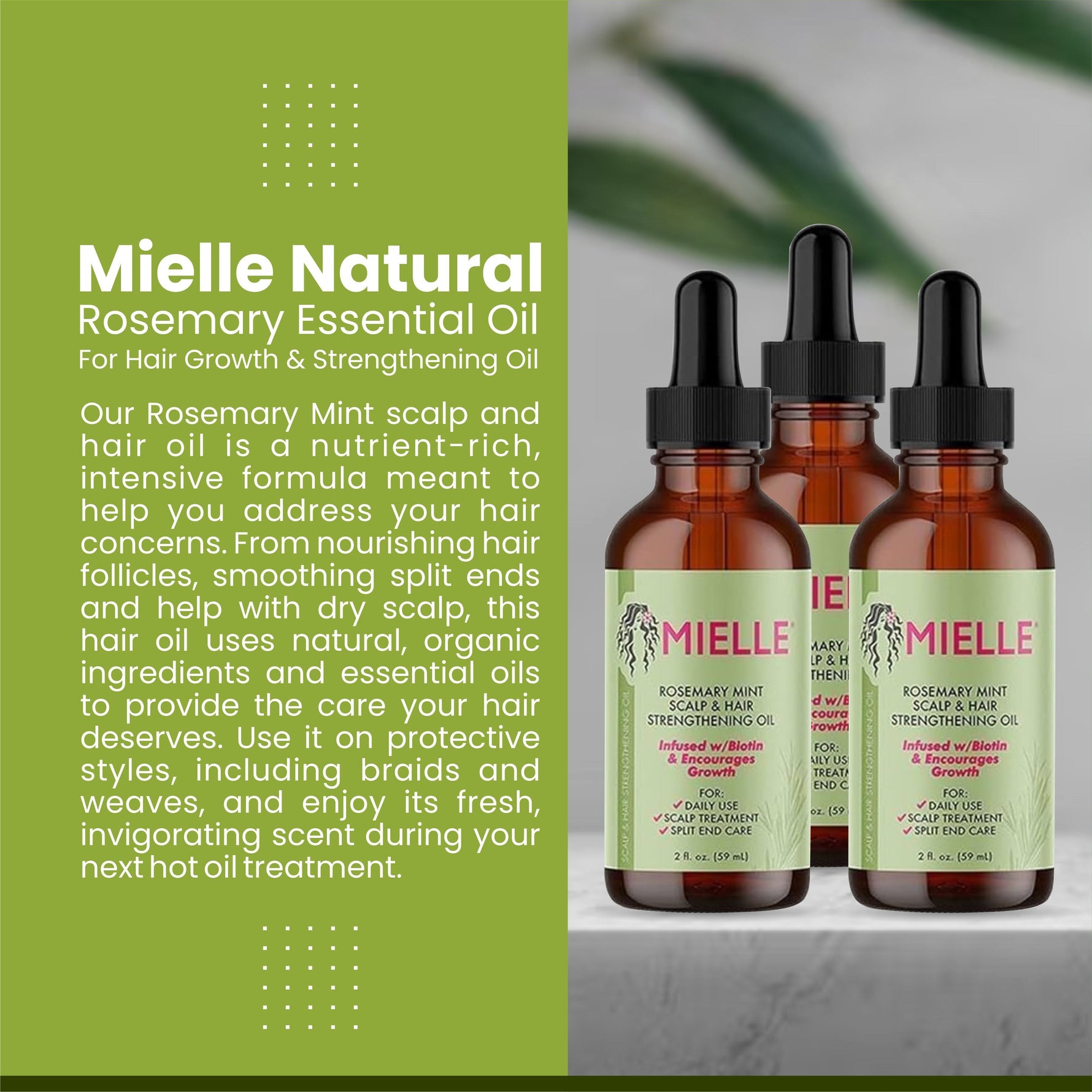 Mielle Rosemary Hair Oil - 3 Bottles - for Healthy Hair, Scalp, Hair Roots -100% Pure & Natural Undiluted 59 ML
