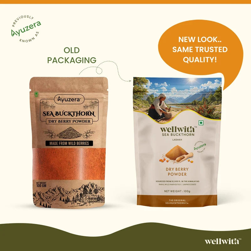 WellWith Sea Buckthorn Natural Dry Berry Powder (100g)