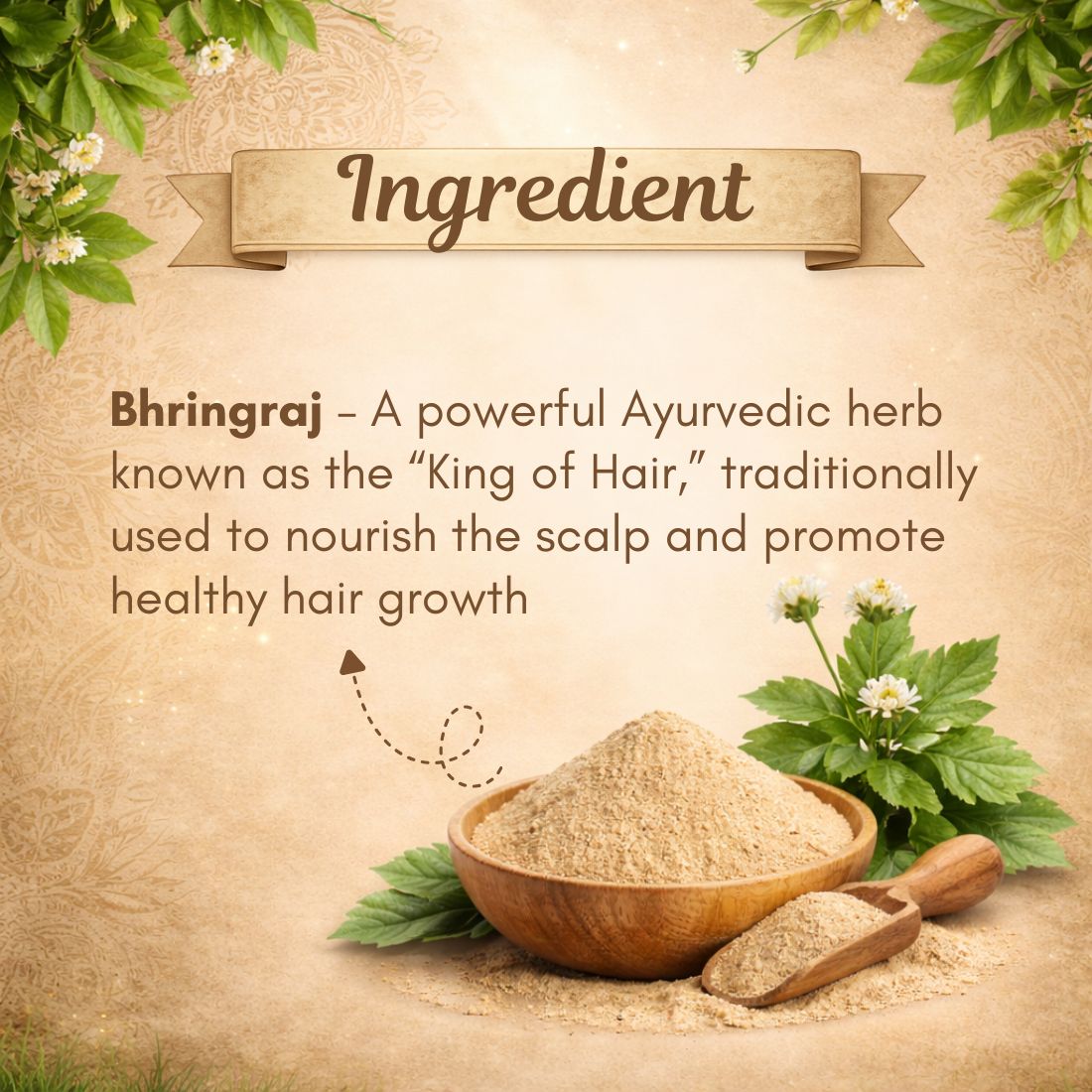 Kayee Ayurveda Bhringraj Hair Powder for Hair & Scalp Care | Herbal Bhringraj Powder for Hair Nourishment, Conditioning & Scalp Care | Helps Support Strong, Soft, Smooth & Healthy-Looking Hair | 100 g