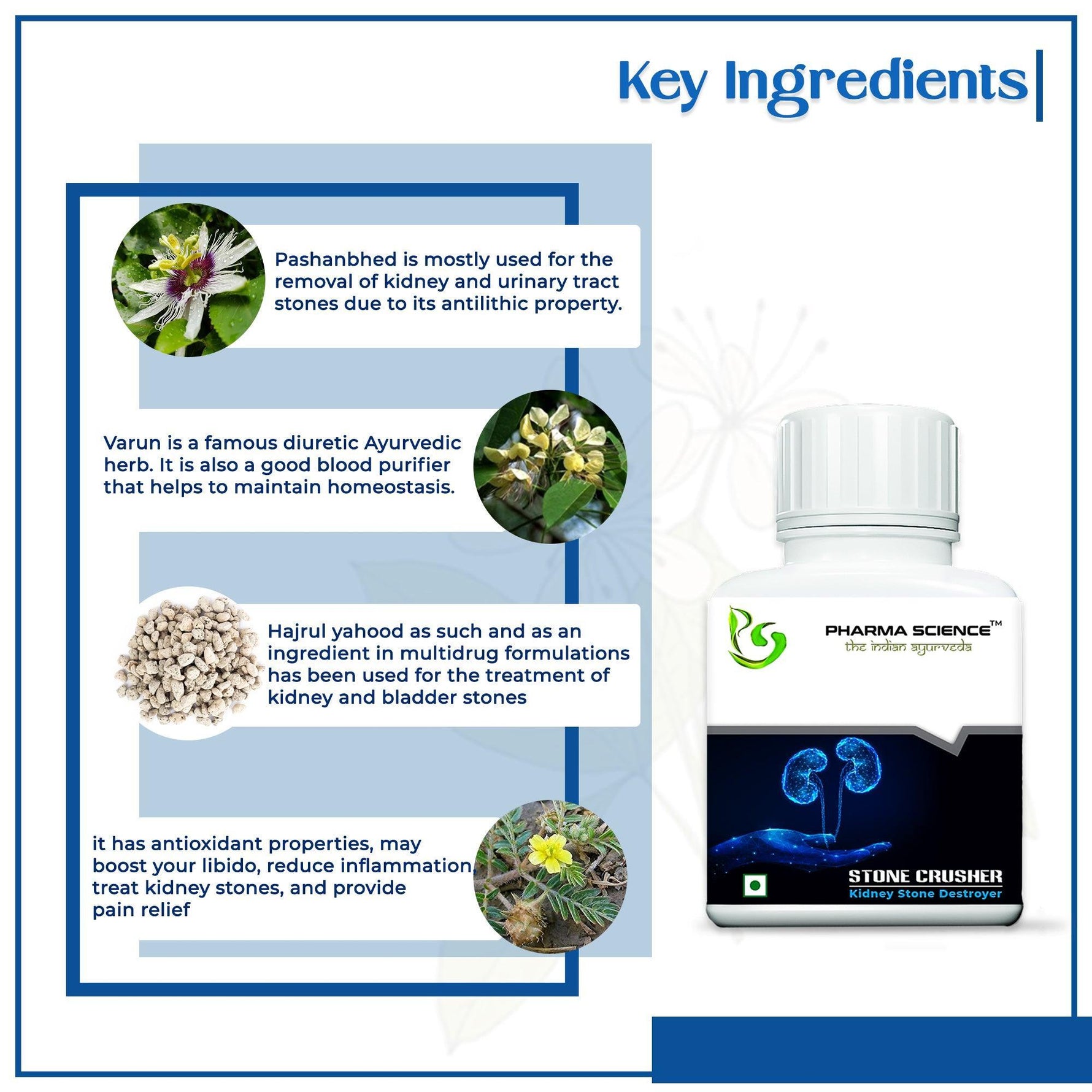 Pharma Science Stone Crusher Kidney Stoner Destroyer Powder- 10g