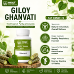 MAPL Herbal Giloy Vati 50g 100 Tablets