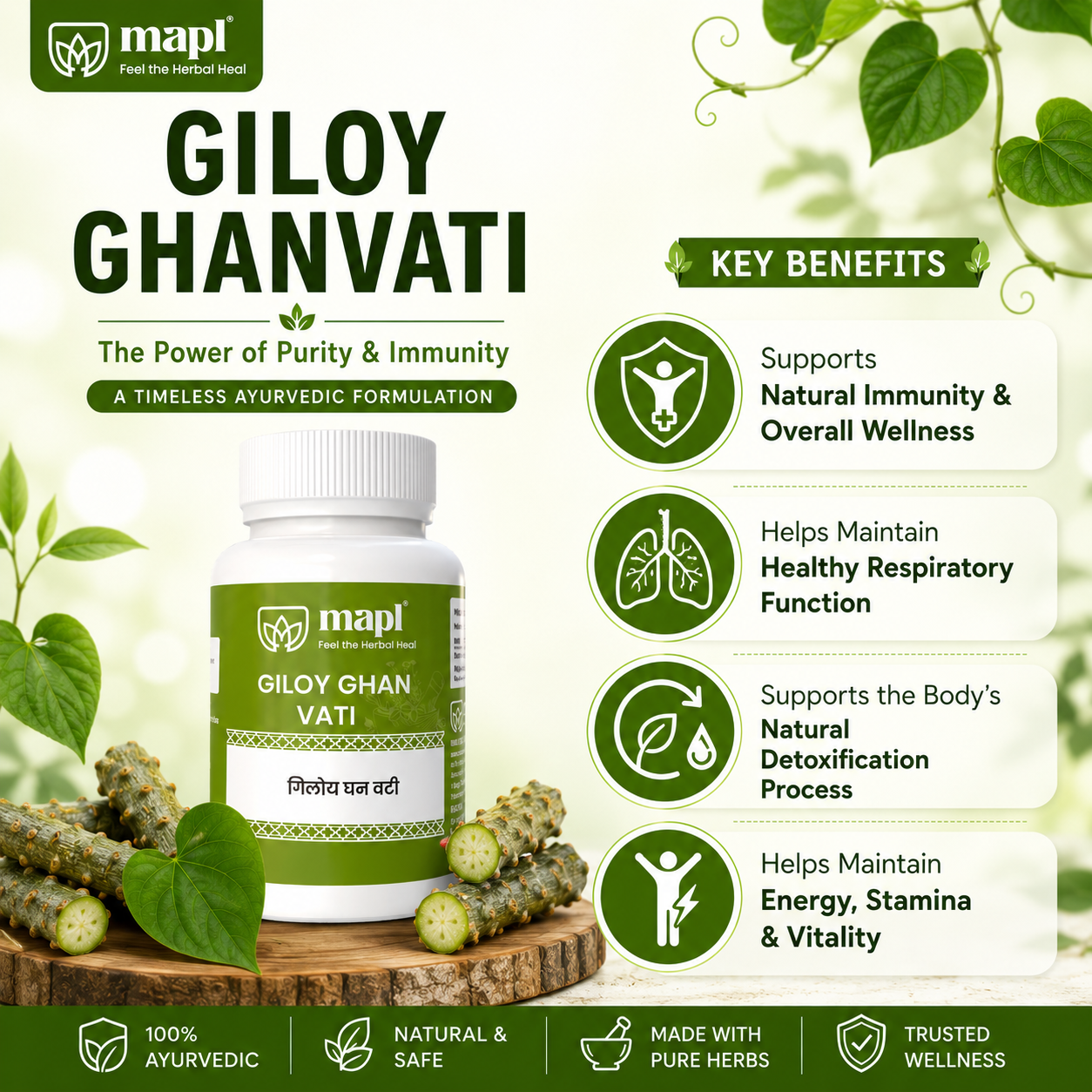 MAPL Herbal Giloy Vati 50g 100 Tablets