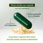 Bixa Botanical Safed Musli Extract Capsules | 60 Capsules