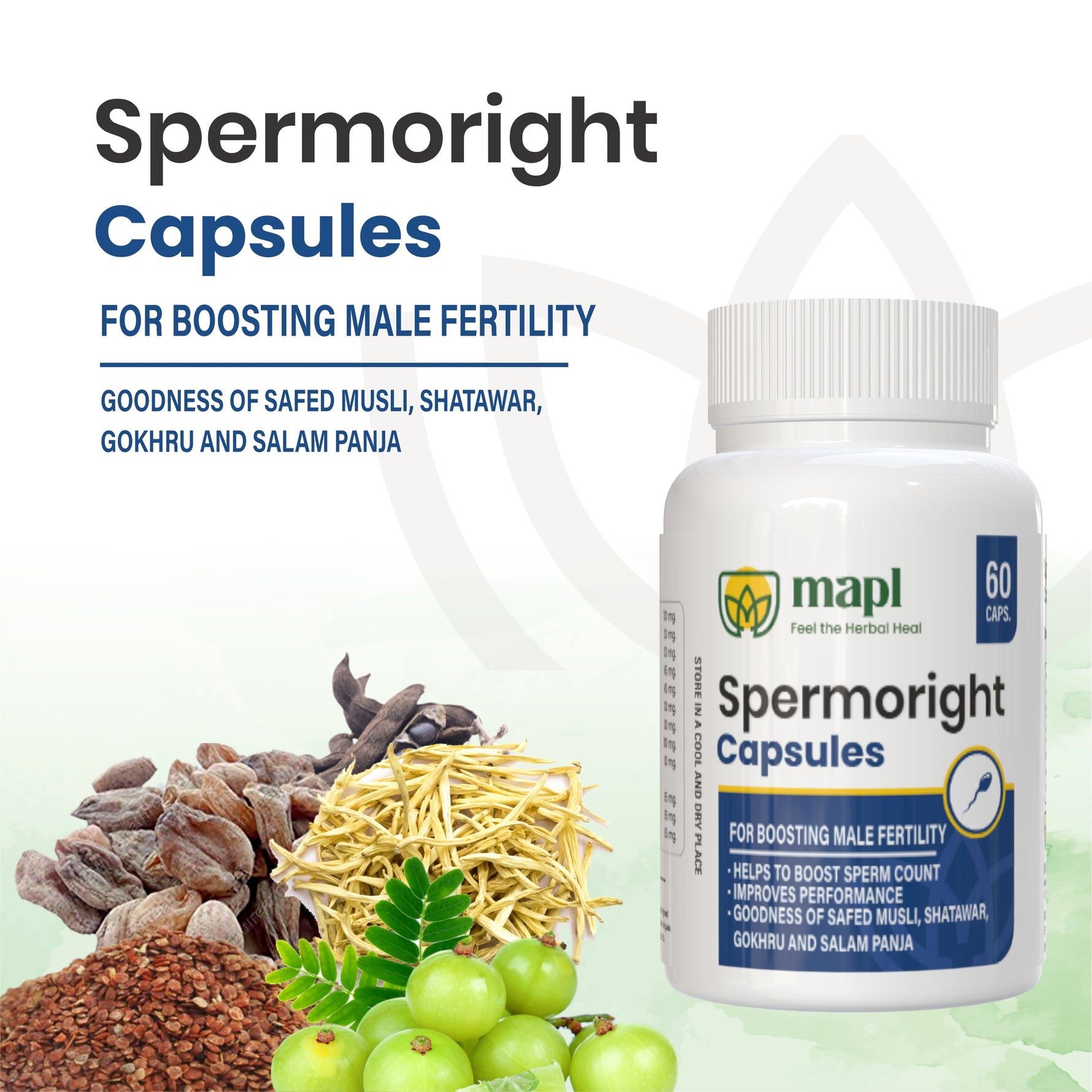 MAPL Spermoright Capsules 60 | Ayurvedic Fertility Support for Men | Boosts Sperm Count, Semen Volume, Stamina & Vitality Naturally