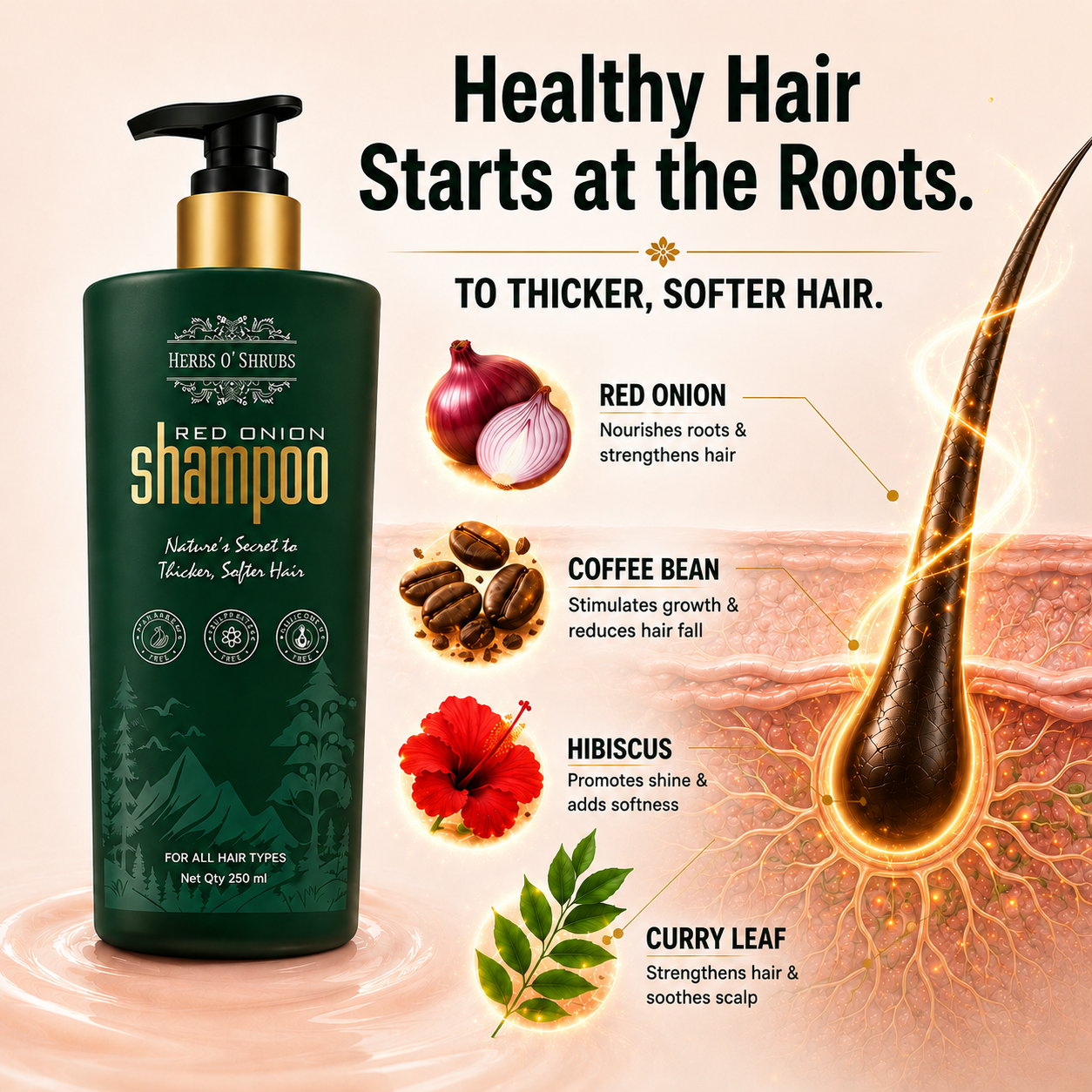 Herbs O' Shrubs Onion Strength & Shine Shampoo with Ayurvedic Ingredients | Onion, Coffee, Brahmi, Hibiscus, Green Tea & Curry Leaf | Gentle Daily Hair Cleanser for All Hair Types, 250 ml