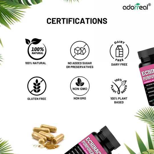 Adorreal Echinacea Purpurea Capsule | 60 Capsules