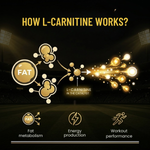 CSK Limited Edition Pure Nutrition L-Carnitine 3000mg Liquid Valencia Orange 450ml