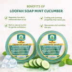 Bhudevam Naturals Khadi Mint Cucumber Loofah Soap – Natural Exfoliating Bath Soap for Cool & Refreshing Skin - 250GM (Pack of 2)