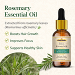 Kayee Ayurveda Rosemary Essential Oil for Hair Care, Aromatherapy, Diffuser & Massage | Refreshing Rosemary Aroma Oil for Scalp & Hair Care, Meditation, Yoga, Spa & Home Fragrance | Multi-Purpose Essential Oil | 15 ml