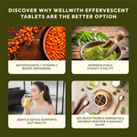 WellWith Sea Buckthorn + Moringa Effervescent Tablets (15 Tablets)