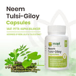 MAPL Neem Giloy Tulsi Capsules 60 | Ayurvedic Immunity & Wellness Support | Boosts Digestion, Reduces Stress & Fatigue Naturally