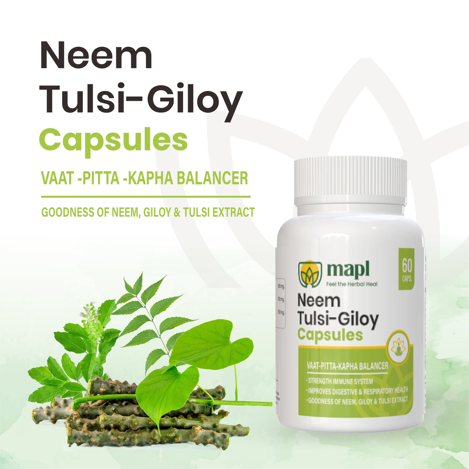 MAPL Neem Giloy Tulsi Capsules 60 | Ayurvedic Immunity & Wellness Support | Boosts Digestion, Reduces Stress & Fatigue Naturally