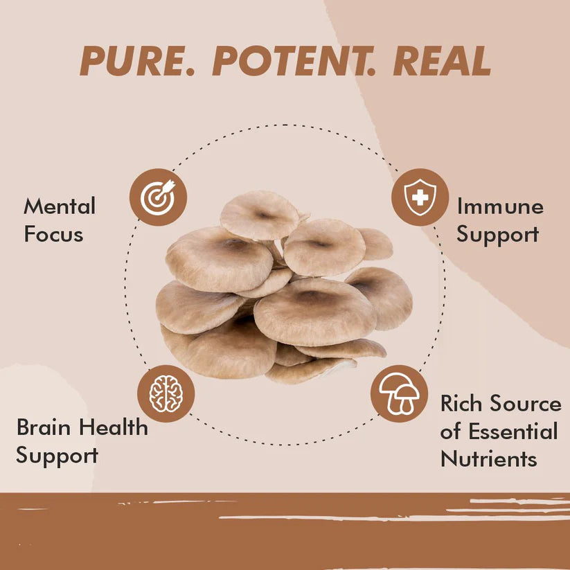 Vitaminnica Oyster Mushroom Capsules - Cardiovascular & Immune Support, 60 Count