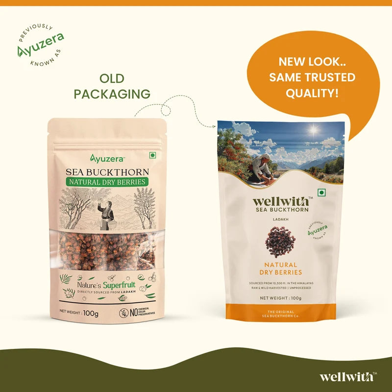 WellWith Sea Buckthorn Natural Dry Berries (100g)