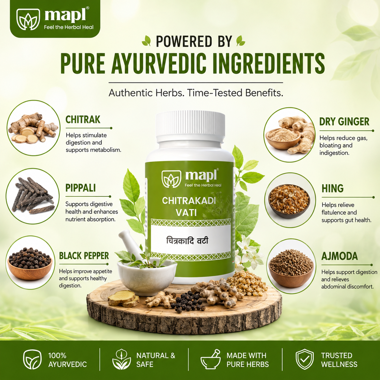 MAPL Herbal Chitrakadi Vati 50g 100 Tablets