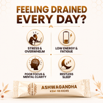 Herbs O’ Shrubs Ashwagandha KSM-66 Kicks | Root Extract with Organic Honey & Vanilla | Vitality Support | Convenient On-the-Go Energy & Focus Support, 30 Sticks