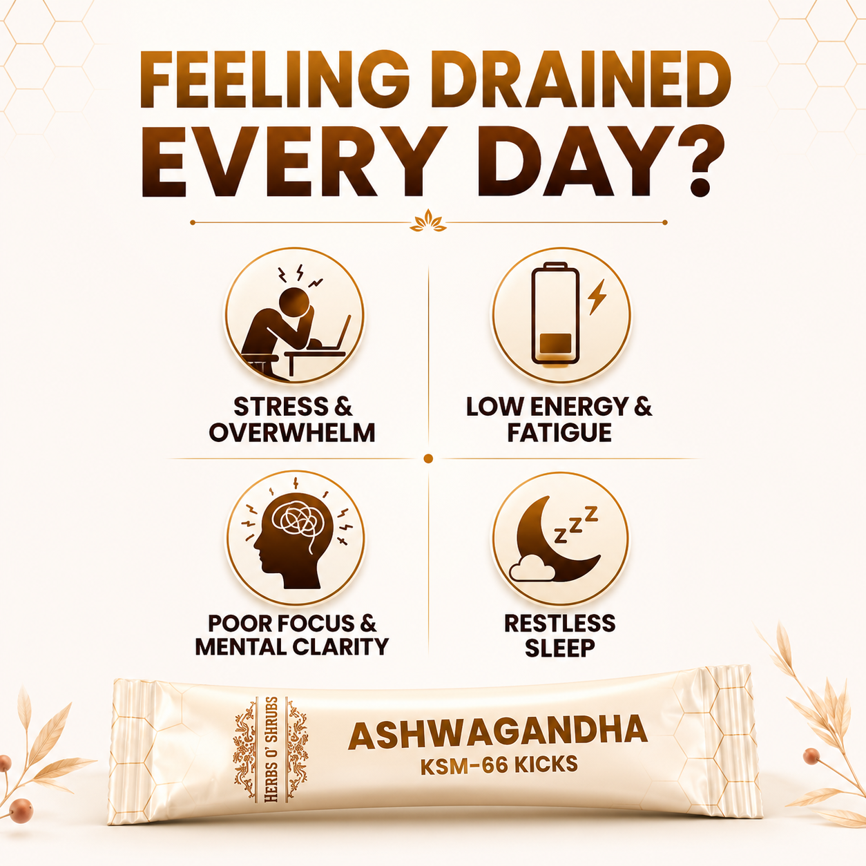 Herbs O’ Shrubs Ashwagandha KSM-66 Kicks | Root Extract with Organic Honey & Vanilla | Vitality Support | Convenient On-the-Go Energy & Focus Support, 30 Sticks