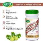 Pack of 2 Amalki Rasayan churna 100gm for Digestion & Antioxidant Support.