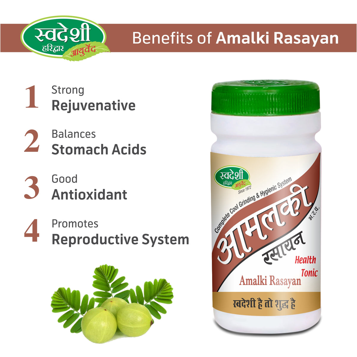 Pack of 2 Amalki Rasayan churna 100gm for Digestion & Antioxidant Support.