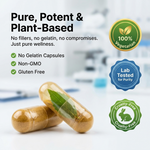 Organic Wellness Ayush Kwath Capsules -  90 Capsules
